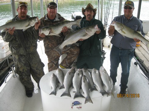 Nice Striped Bass